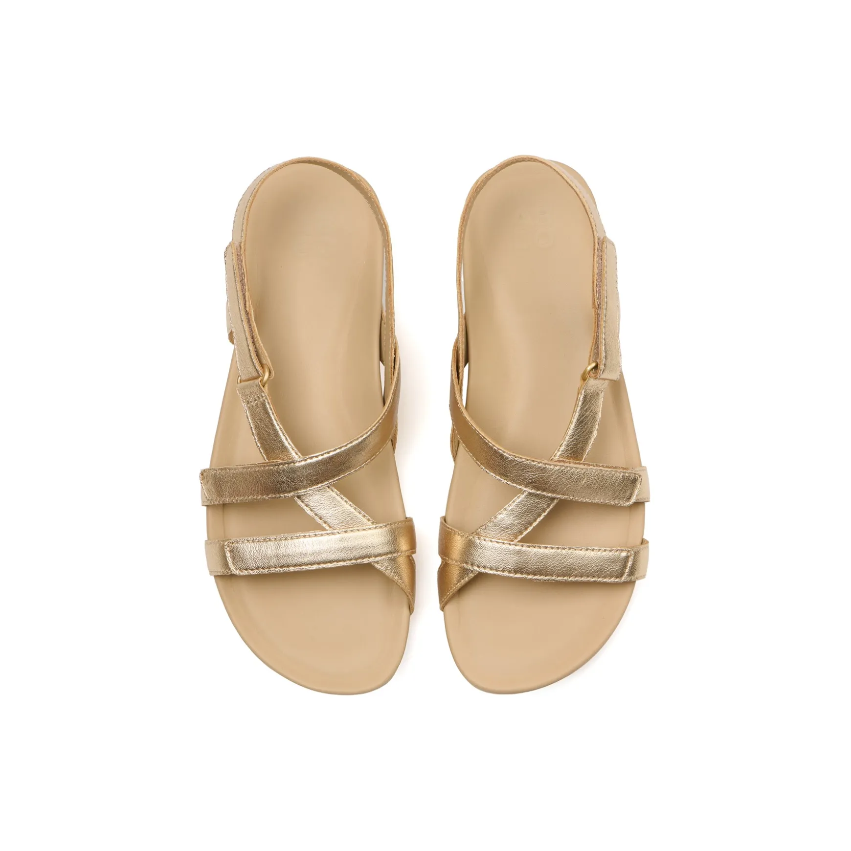 ABEO Oasis Slingback Metatarsal