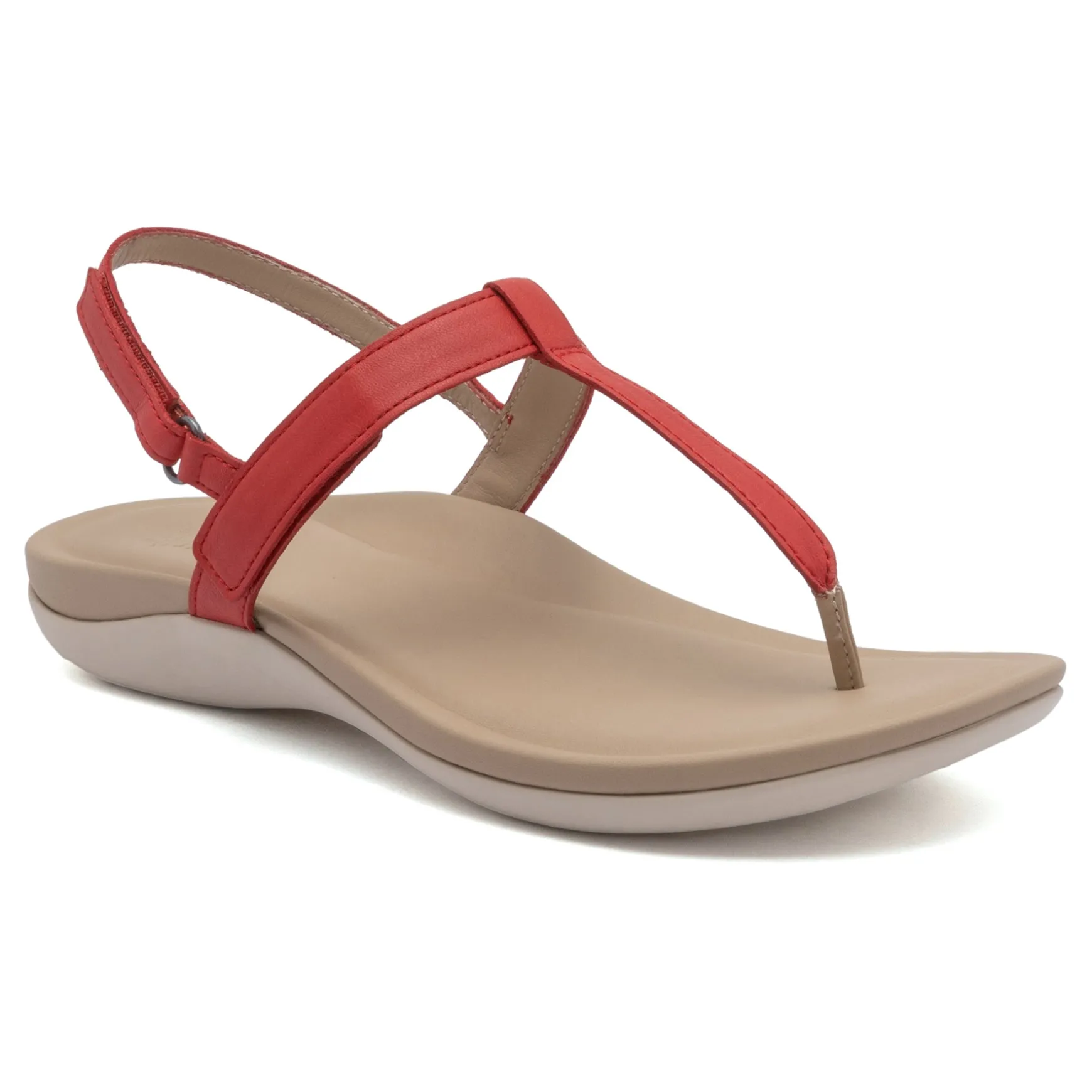 ABEO Oasis T Strap